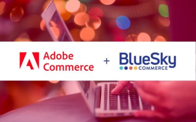 12 Ecommerce Site Search Best Practices From Adobe